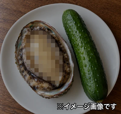 Serorikunnikun